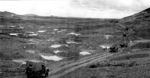 Straße Nummer 15 und unsterbliche Blumen an der Kreuzung Dong Loc - ảnh 1